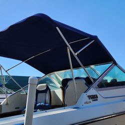 Water Dog Marine Canvas