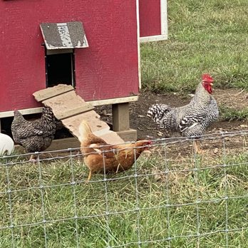 Cress Creeks Farm - Venues & Event Spaces Near Me - Ellijay, Georgia