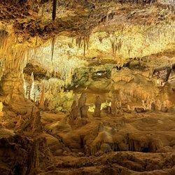 Cuevas dels Hams