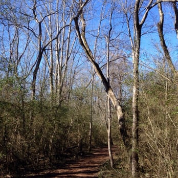 Lullwater Park - Really pretty well-kept trail - Parks Near Me - Atlanta, Georgia Lullwater Park - Really pretty well-kept trail - Parks Near Me - Atlanta, Georgia