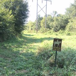 Honey Creek Preserve - Horse trail to overlook.