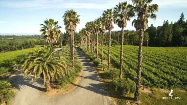 Iron Horse Vineyards by null