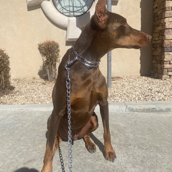Furworks - Pet Groomers Near Me - Oak Hills, California