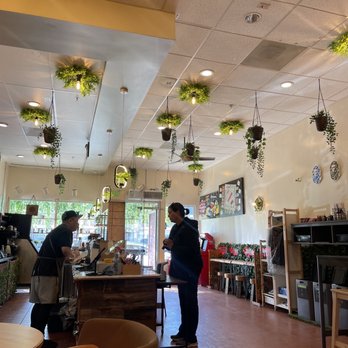 SAGA Kitchen - Dim Sum Near Me - Alameda, California