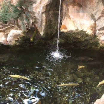 Cabela's - Waterfall with fish feeding - Outdoor Gear Near Me - Lehi, Utah