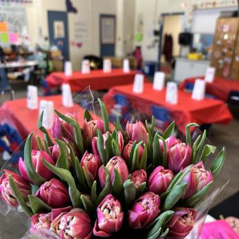 BloomsyBox - Day of arrival! - Florists Near Me - Miami, Florida BloomsyBox - Day of arrival! - Florists Near Me - Miami, Florida
