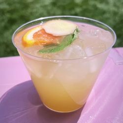 Bartender Chicago - Cocktail