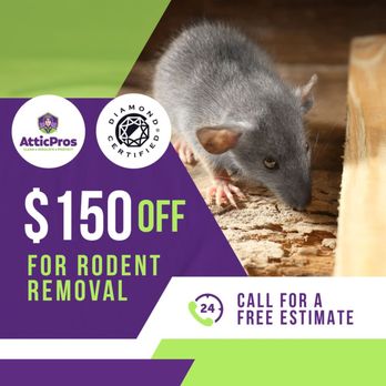 Attic Pros - Special Promo - Insulation Installation Near Me - San Jose, California