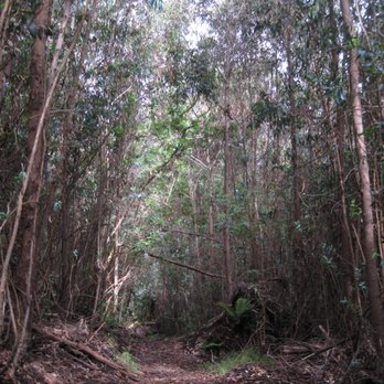 Polipoli Springs State Recreation Area - Haleakala Ridge Trail - Parks Near Me