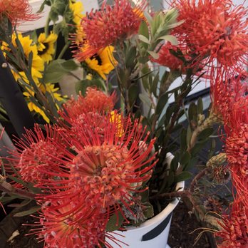 Bay Park Flowers - Florists Near Me - San Diego, California Bay Park Flowers - Florists Near Me - San Diego, California
