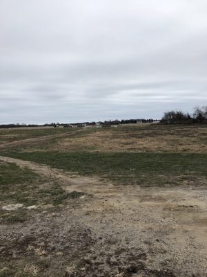 Browder’s Birds by null