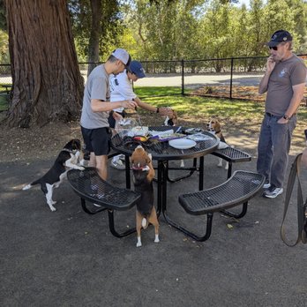 McKenzie Dog Park - Dog Parks Near Me - Los Altos, California