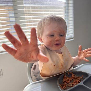 Jack's Corner - Young child devouring the leftovers of this delicious meal - Desserts Near Me - Queens, New York Jack's Corner - Young child devouring the leftovers of this delicious meal - Desserts Near Me - Queens, New York
