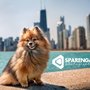 Photo of Sparenga Photography