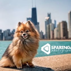 Sparenga Photography
