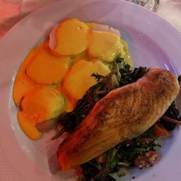 Salmon