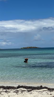Playa La Chiva by null