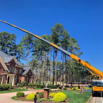 J & D Tree Pros - Crane tree removal in Cary NC -- minimal to zero lawn damage guaranteed. J&D Tree Pros has served the Triangle for 20+ years. - Tree Services Near Me - Apex, North Carolina J & D Tree Pros - Crane tree removal in Cary NC -- minimal to zero lawn damage guaranteed. J&D Tree Pros has served the Triangle for 20+ years. - Tree Services Near Me - Apex, North Carolina