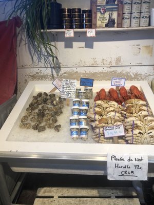 Key City Fish Company by null