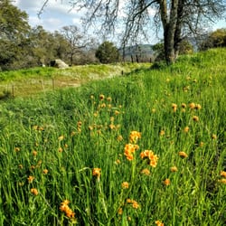 Wildflower Trail - 2.21.16