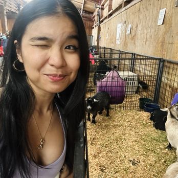 Washington State Fair - Festivals Near Me - Puyallup, Washington Washington State Fair - Festivals Near Me - Puyallup, Washington