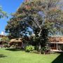 Photo of Instituto Vida Sana