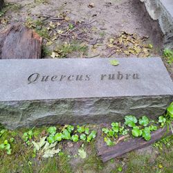 Into the Woods - Granite bench