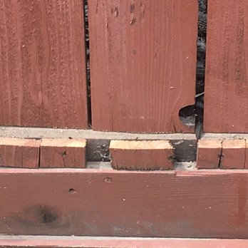Clover Valley Home Service - a cat peeking through a fence - Handyman Near Me