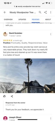 WOODY WOODPECKER TREE SERVICE - Updated July 2024 - 231 Photos & 44