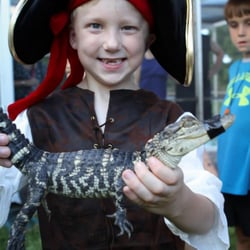Cock-A-Doodle-Doo Petting Zoo - Alligator from our Reptile Show