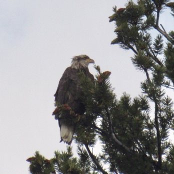 Barker-Ewing Scenic Tours - Rafting/Kayaking Near Me