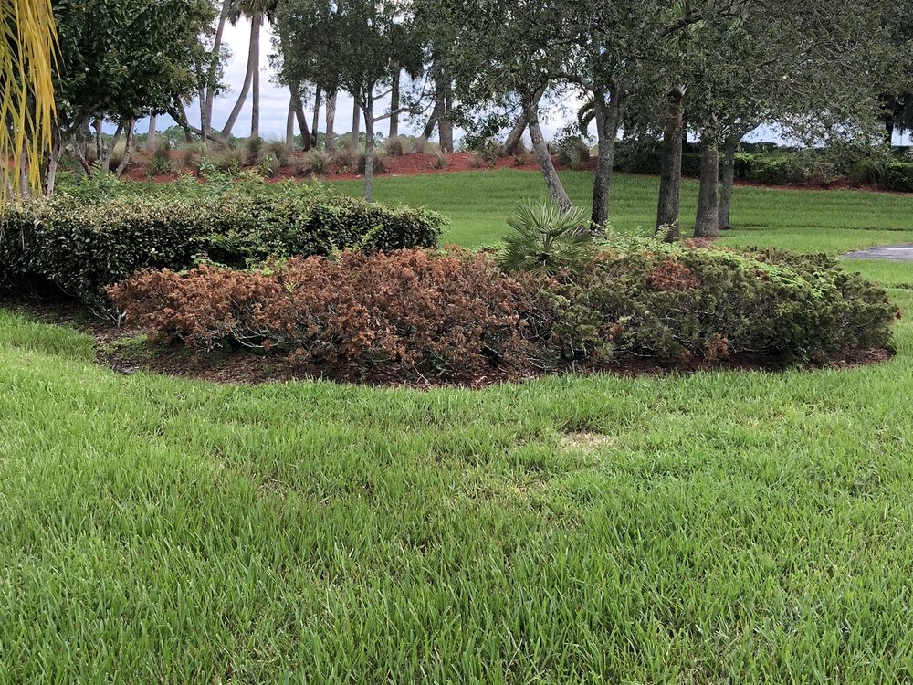 SENTRY MANAGEMENT Updated October 2024 597 Haverty Ct, Rockledge