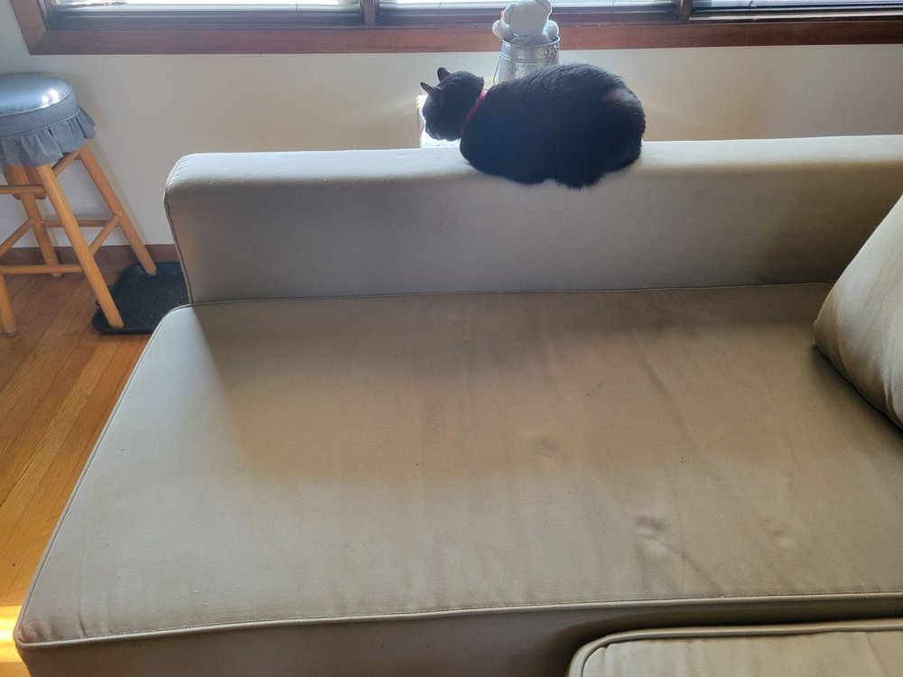 REVIVE CARPET CLEANING SOLUTIONS Updated October 2024 19 Photos