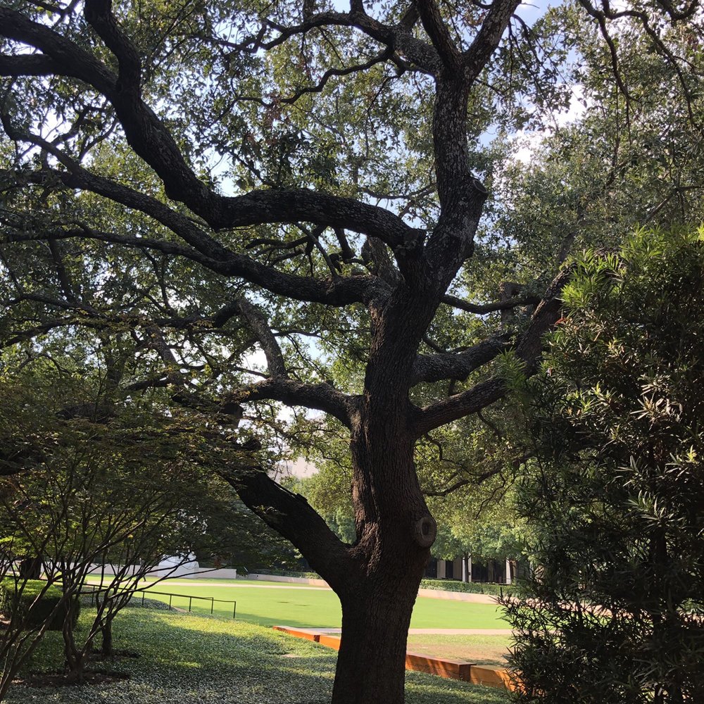 The Corinthian Bed & Breakfast - Oaks - Bed & Breakfast Near Me - Dallas, Texas The Corinthian Bed & Breakfast - Oaks - Bed & Breakfast Near Me - Dallas, Texas