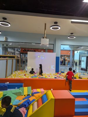 JOLLY ROGER LAND - Updated February 2026 - 80 Photos & 55 Reviews - 925