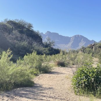 Honeybee Canyon Loop Trail - Hiking Near Me - Oro Valley, Arizona