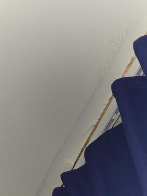 Hotel Breakwater South Beach by null