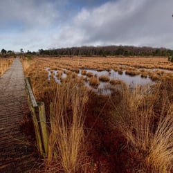 Peatlands Park - Photo from Peatlands Park Facebook page by Northern Ireland Photography, Barry McQueen.