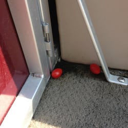 Just For Fun - Someone's left over tomatoes?