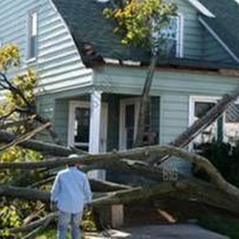 Top Notch Tree Service - untitled - Tree Services Near Me - Fredericksburg, Virginia Top Notch Tree Service - untitled - Tree Services Near Me - Fredericksburg, Virginia