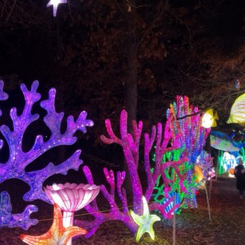 Dragon Lights Reno - Local Flavor Near Me - Reno, Nevada
