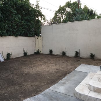 Matilde's Tree Service - After - Tree Services Near Me Matilde's Tree Service - After - Tree Services Near Me