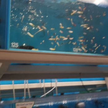 Fish Warehouse - Local Fish Stores Near Me - Westminster, California