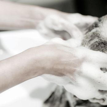Evoke Salon - Relaxing scalp massage and sudsy shampoo with each visit - Hair Salons Near Me - Toronto, Ontario Evoke Salon - Relaxing scalp massage and sudsy shampoo with each visit - Hair Salons Near Me - Toronto, Ontario