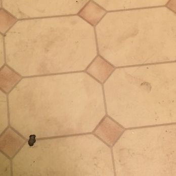 Travelodge Eugene Downtown - Bathroom floor, room 109 - Hotels Near Me - Eugene, Oregon Travelodge Eugene Downtown - Bathroom floor, room 109 - Hotels Near Me - Eugene, Oregon