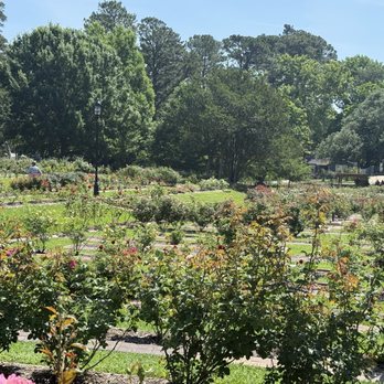 Tyler Rose Garden Center - Overlooking the rose garden - Parks Near Me - Tyler, Texas Tyler Rose Garden Center - Overlooking the rose garden - Parks Near Me - Tyler, Texas