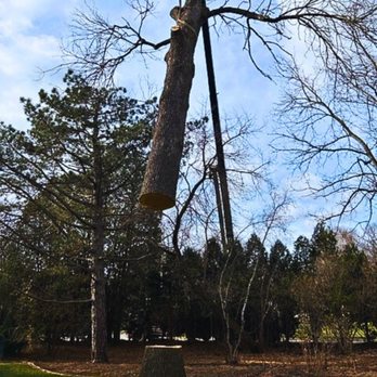 AAW Tree Service - Tree Services Near Me - Green Bay, Wisconsin AAW Tree Service - Tree Services Near Me - Green Bay, Wisconsin
