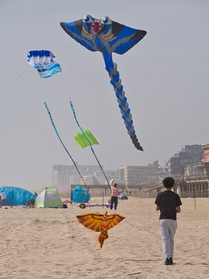 Ocean Beach New Jersey by null
