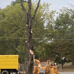 Family's Tree Service
