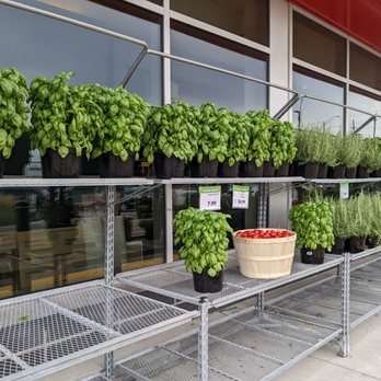 Longo's - Basil, tomatoes, and rosemary - Grocery Near Me - Whitchurch-Stouffville, Ontario Longo's - Basil, tomatoes, and rosemary - Grocery Near Me - Whitchurch-Stouffville, Ontario